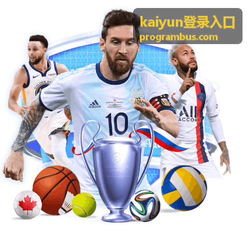 kaiyun登录入口整理出的登录访问链路示意图
